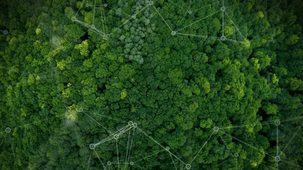 © Dana.S, Shutterstock (2054444459)